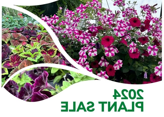 montage of spring flowering plants